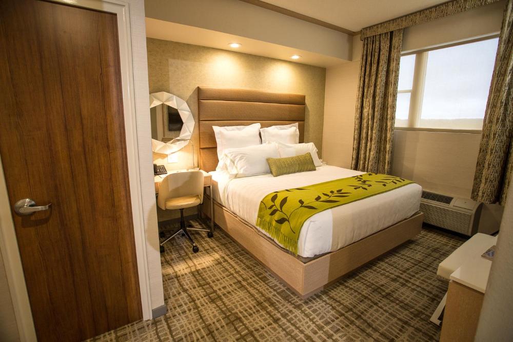 Standard King Room interior